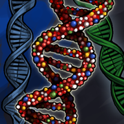 Soubor:Pme genetics research.png